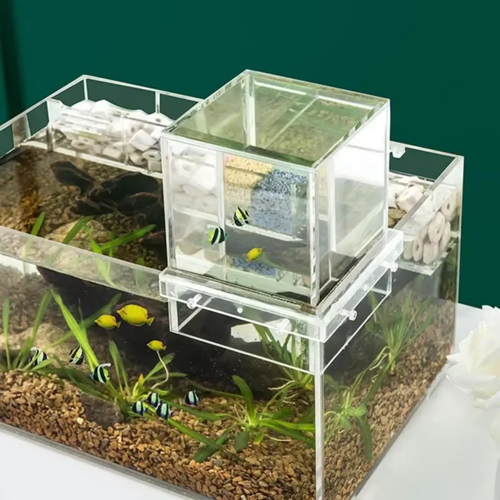Aquarium Fish Cold Water - Landscaping Negative Pressure Fish Tank Unique