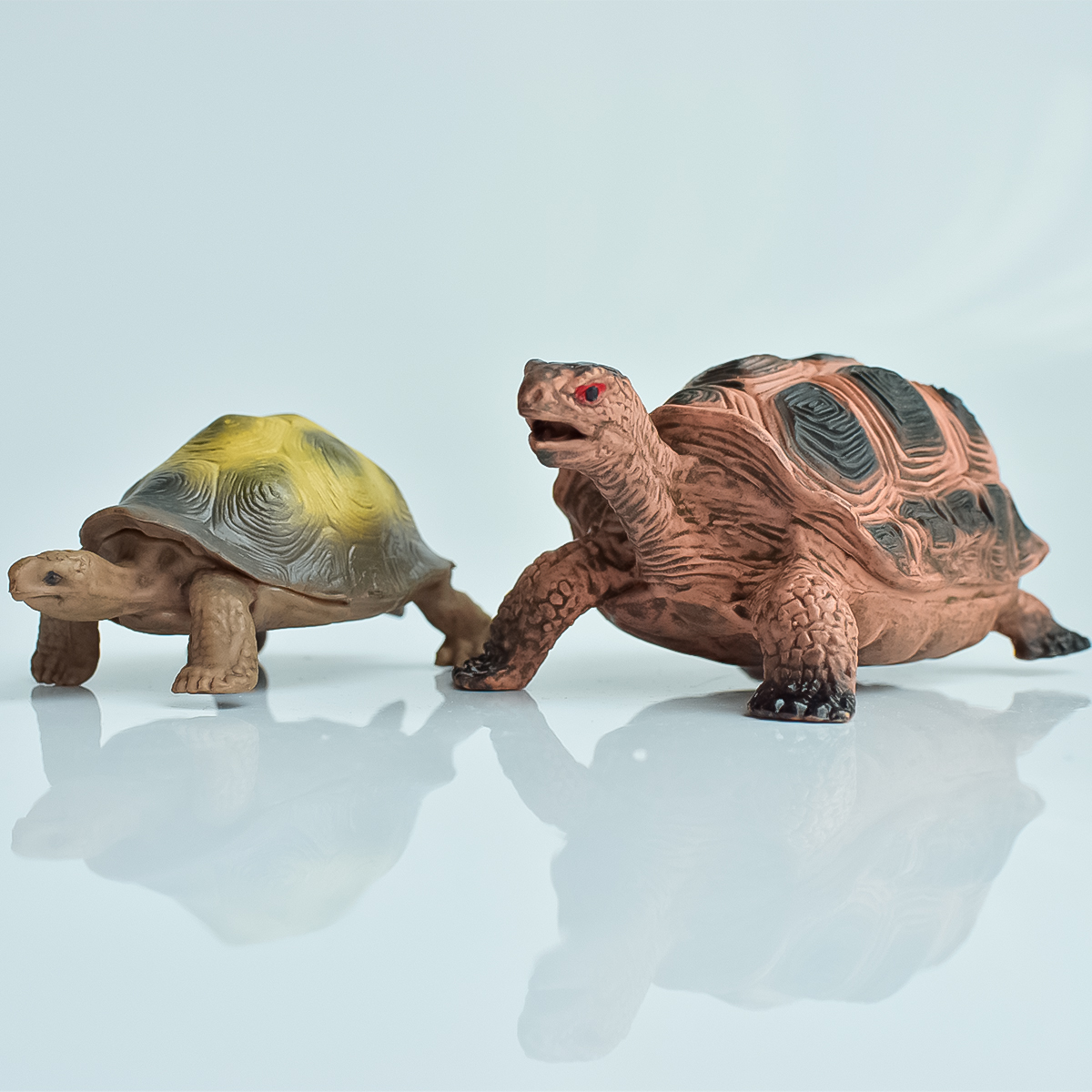 Aquarium Fish Fishing - Painted Realistic Animal Turtle | Aquatic