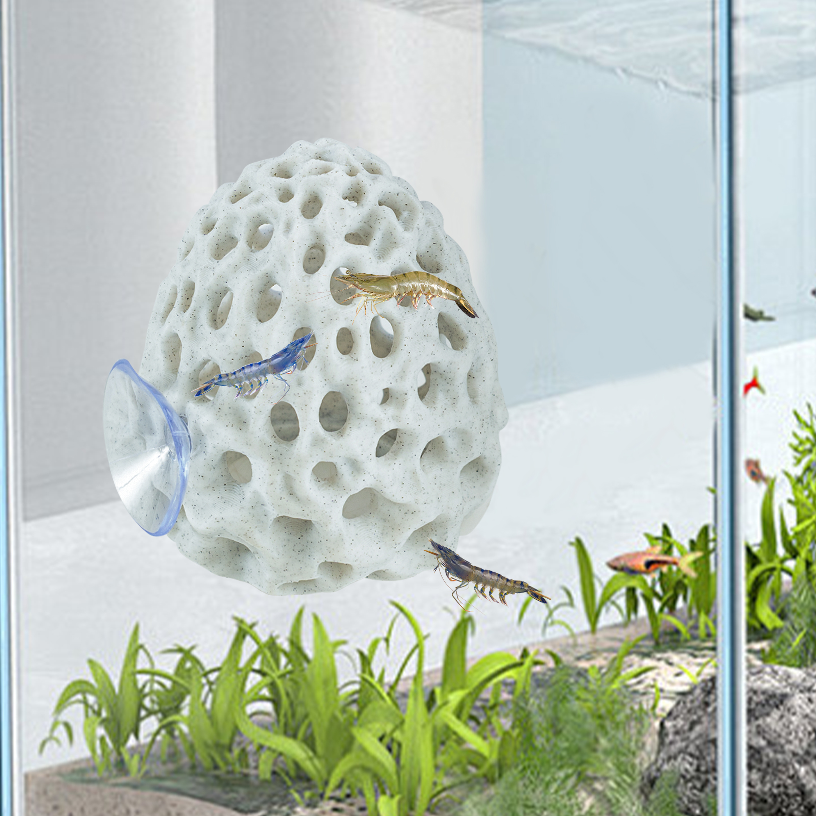 Aquarium Fish Hiding Places - Shrimp Hides for Aquarium, Betta Fish