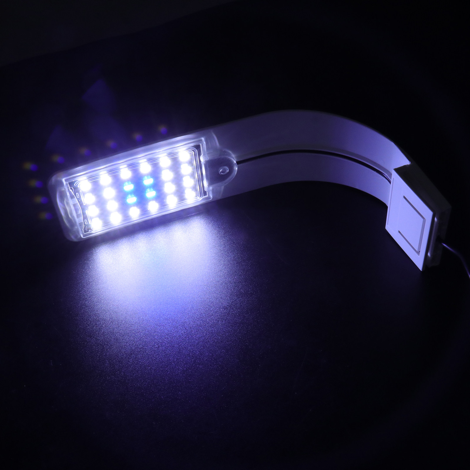 Aquarium Fish With Long Lifespan - LED Aquarium Light for Fish Tank