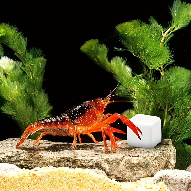 Aquarium Fish Hiding Places - 6 Pcs Fish Tank Calcium Block