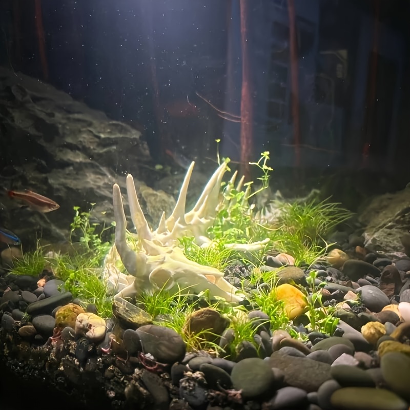 1pc Dragon-Shaped Fishbone Dec - Aquarium Fish Hiding Places incelemesi ve fiyatı