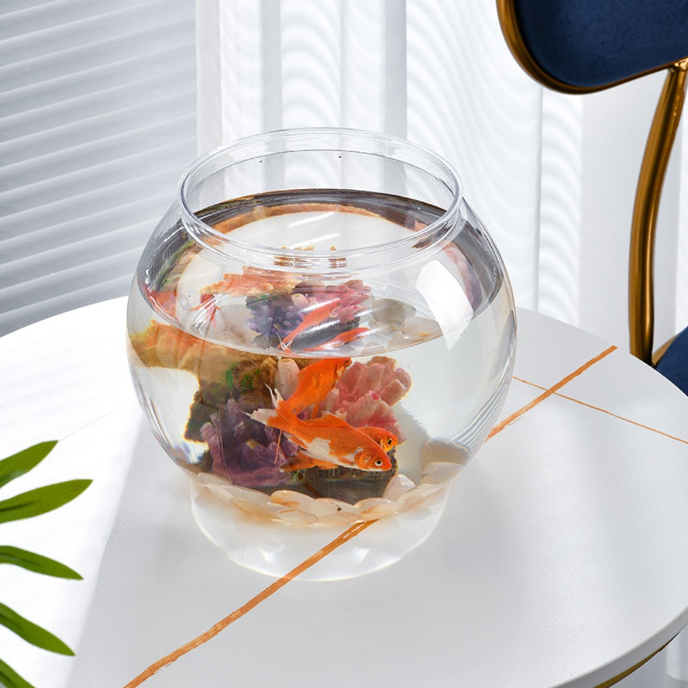 Home Decor Clear Transparent R - Aquarium Fish Names incelemesi ve fiyatı