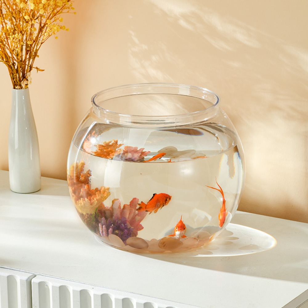 Home Decor Clear Transparent R - Aquarium Fish Names incelemesi ve fiyatı