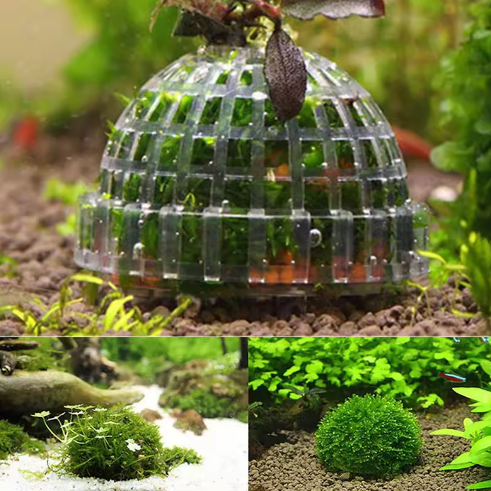 Plastic Aquarium Moss Ball Fil - Aquarium Fish Hiding Places incelemesi ve fiyatı