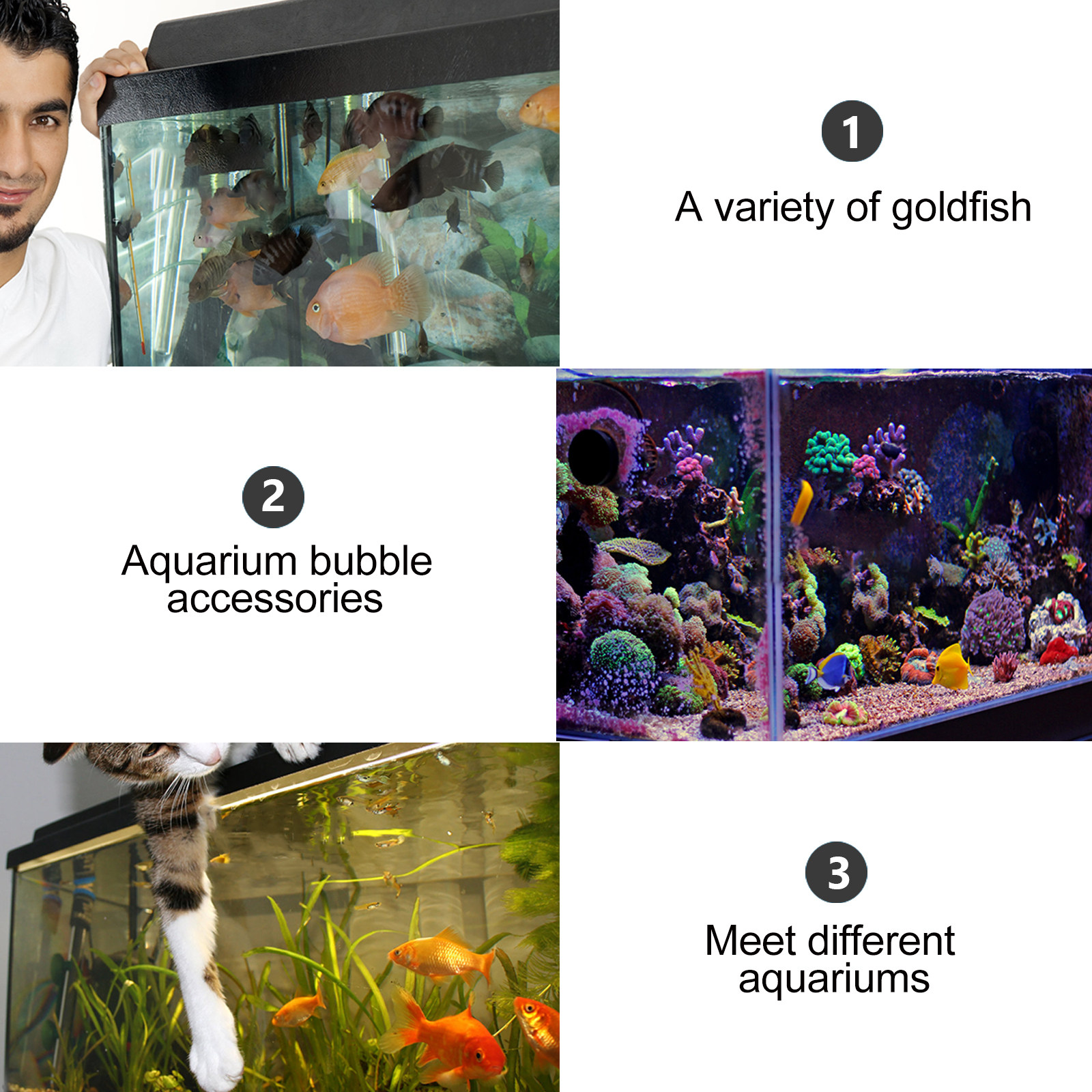 1Pcs Air Bubble Stone Aquarium - Aquarium Fish Discus incelemesi ve fiyatı
