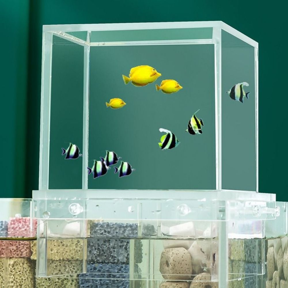 Landscaping Negative Pressure  - Aquarium Fish Cold Water incelemesi ve fiyatı