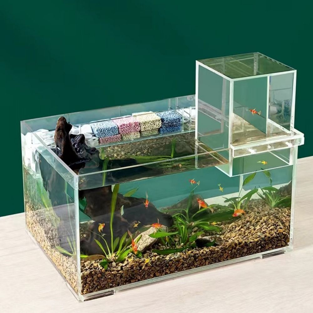 Landscaping Negative Pressure  - Aquarium Fish Cold Water incelemesi ve fiyatı