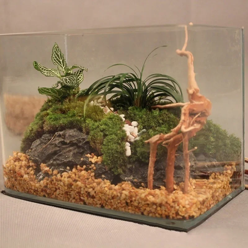 Natural Tree Trunk Driftwood A - Aquarium Fish Diseases incelemesi ve fiyatı