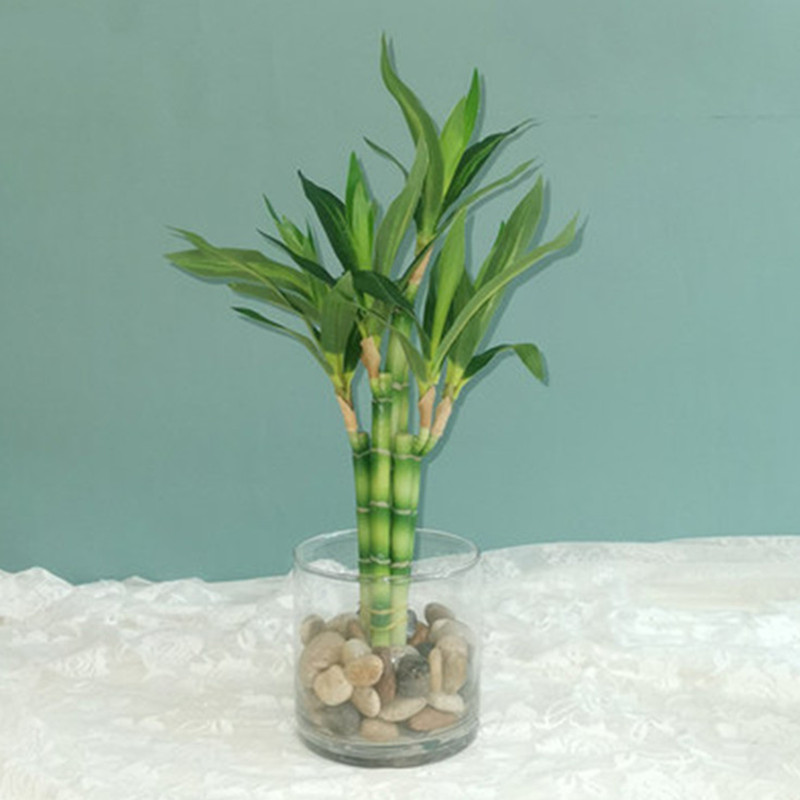 New 40cm rFtificial Lucky Bamb - Aquarium Fish Fishing incelemesi ve fiyatı
