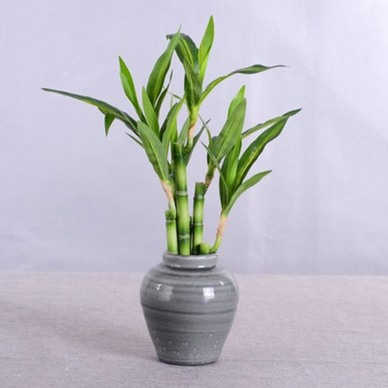 New 40cm rFtificial Lucky Bamb - Aquarium Fish Fishing incelemesi ve fiyatı