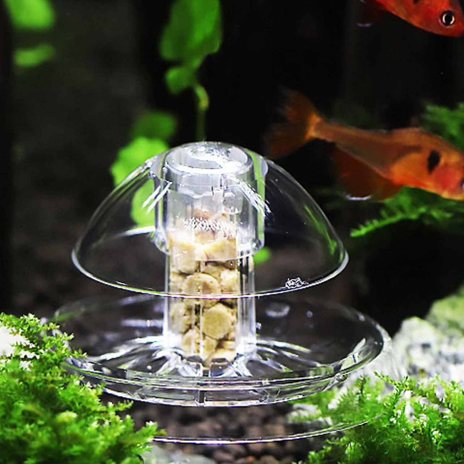 Ailindany Snail Trap Plastic T - Aquarium Fish In Online incelemesi ve fiyatı