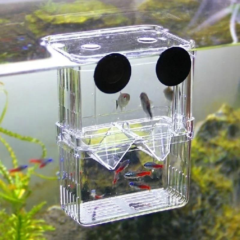 Transparent Fish Aquarium High - Aquarium Fish Cold Water incelemesi ve fiyatı