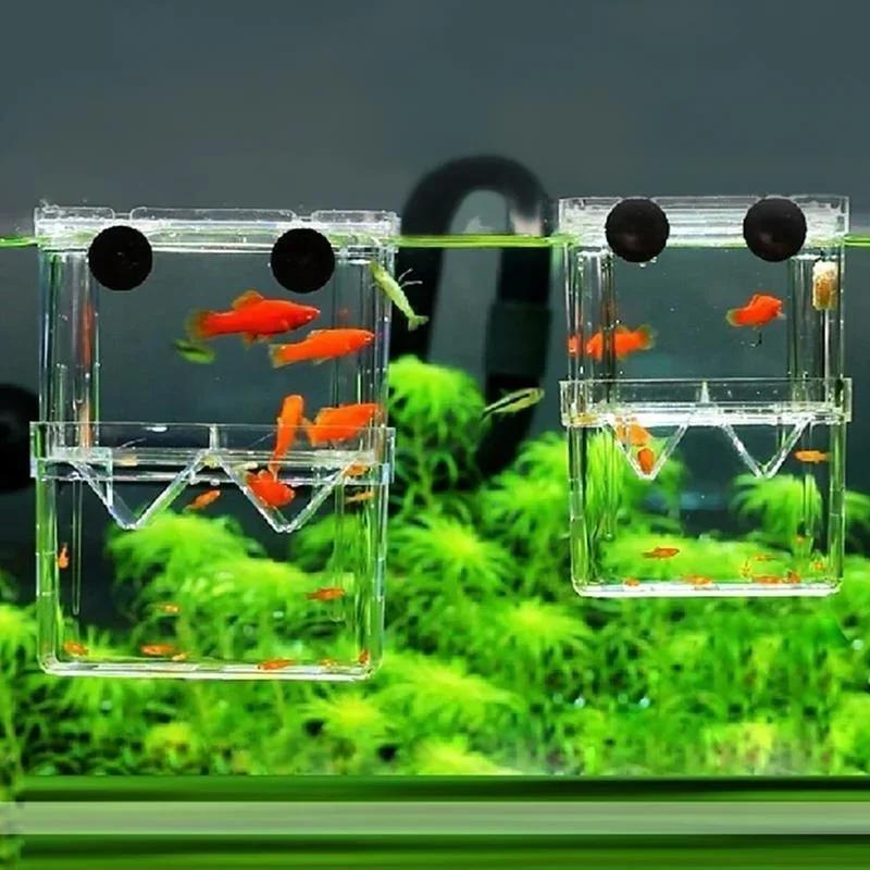 Transparent Fish Aquarium High - Aquarium Fish Cold Water incelemesi ve fiyatı