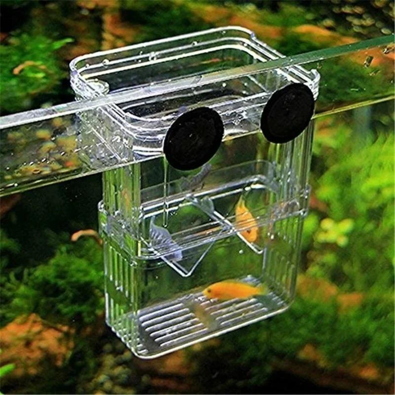Transparent Fish Aquarium High - Aquarium Fish Cold Water incelemesi ve fiyatı