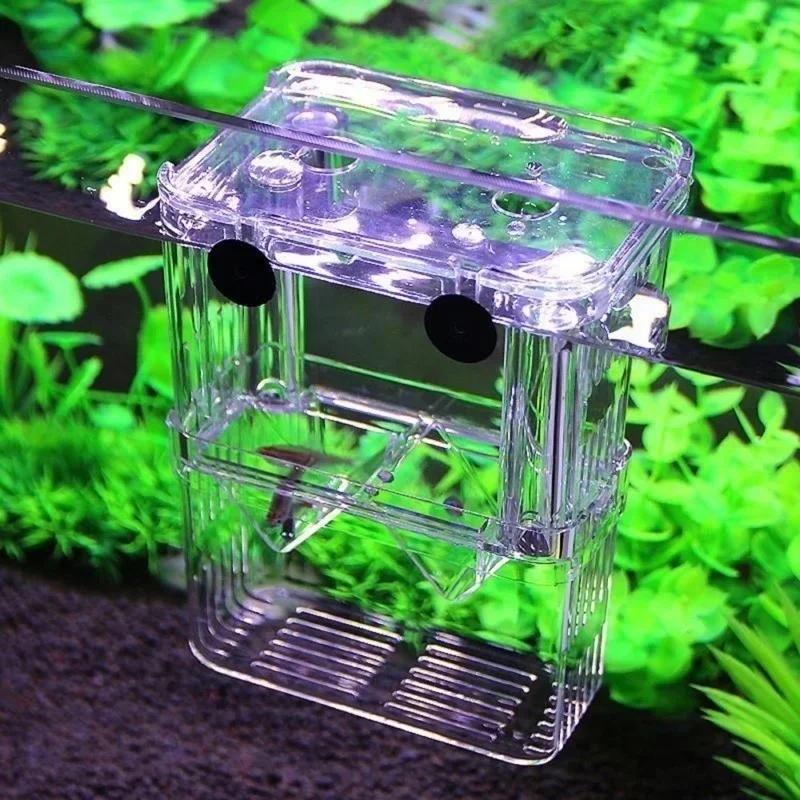 Transparent Fish Aquarium High - Aquarium Fish Cold Water incelemesi ve fiyatı