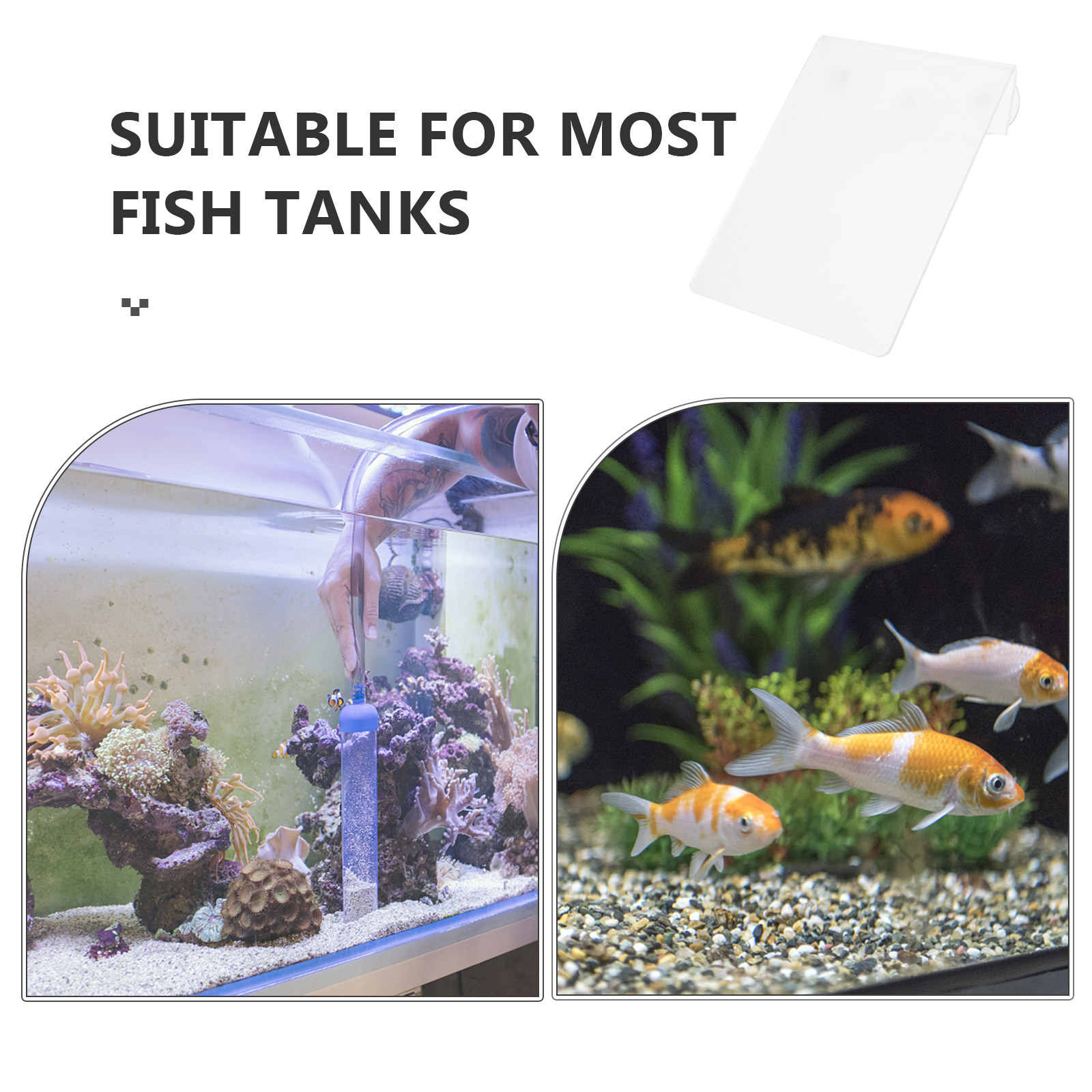 Removable Fish Breeding Lightw - Aquarium Fish Discus incelemesi ve fiyatı
