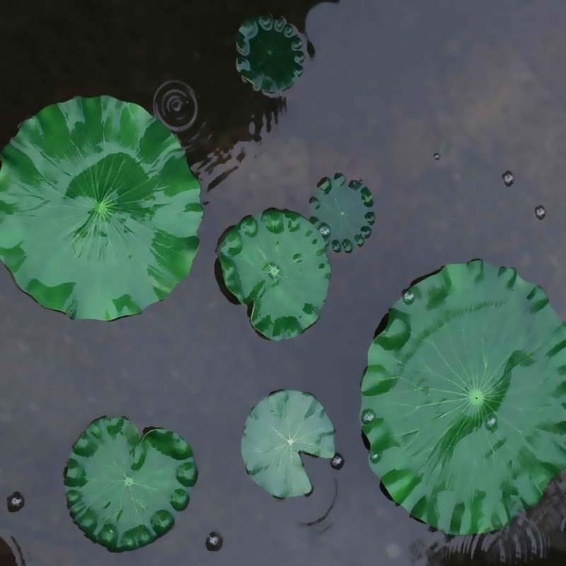 2026 Artificial Water Lily Lot - Aquarium Fish In Pond incelemesi ve fiyatı