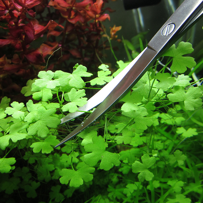 Aquarium Accessories Hard Stai - Aquarium Fish Maintenance incelemesi ve fiyatı