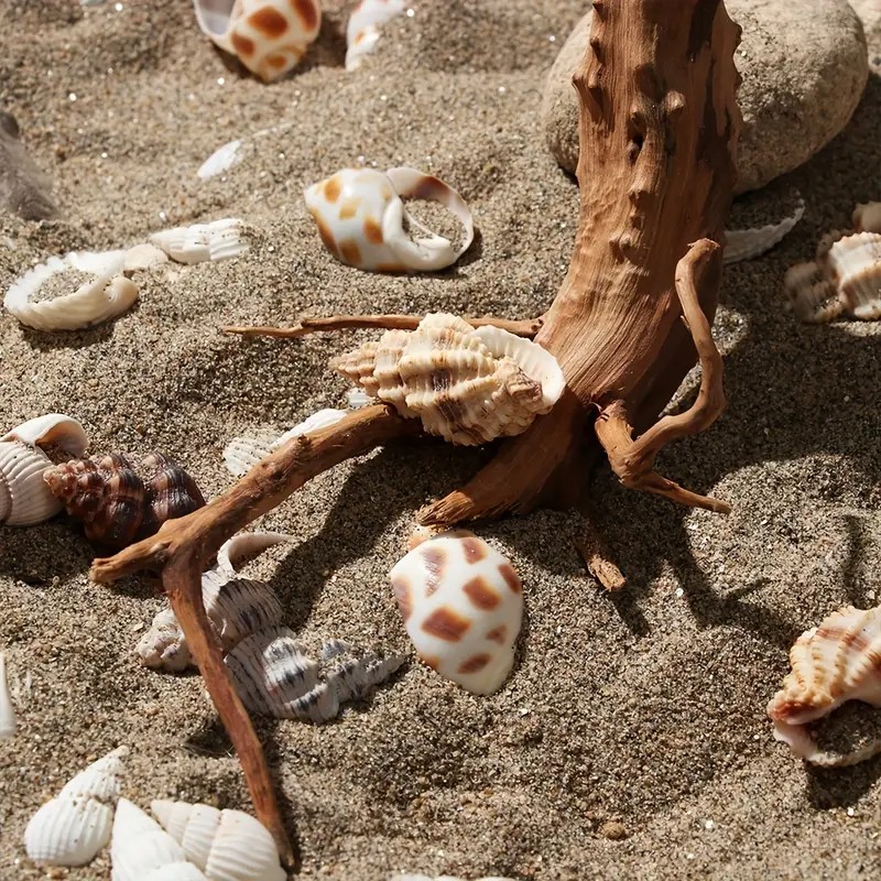 7-26CM 4 Sizes Driftwood Cucko - Aquarium Fish Diseases incelemesi ve fiyatı