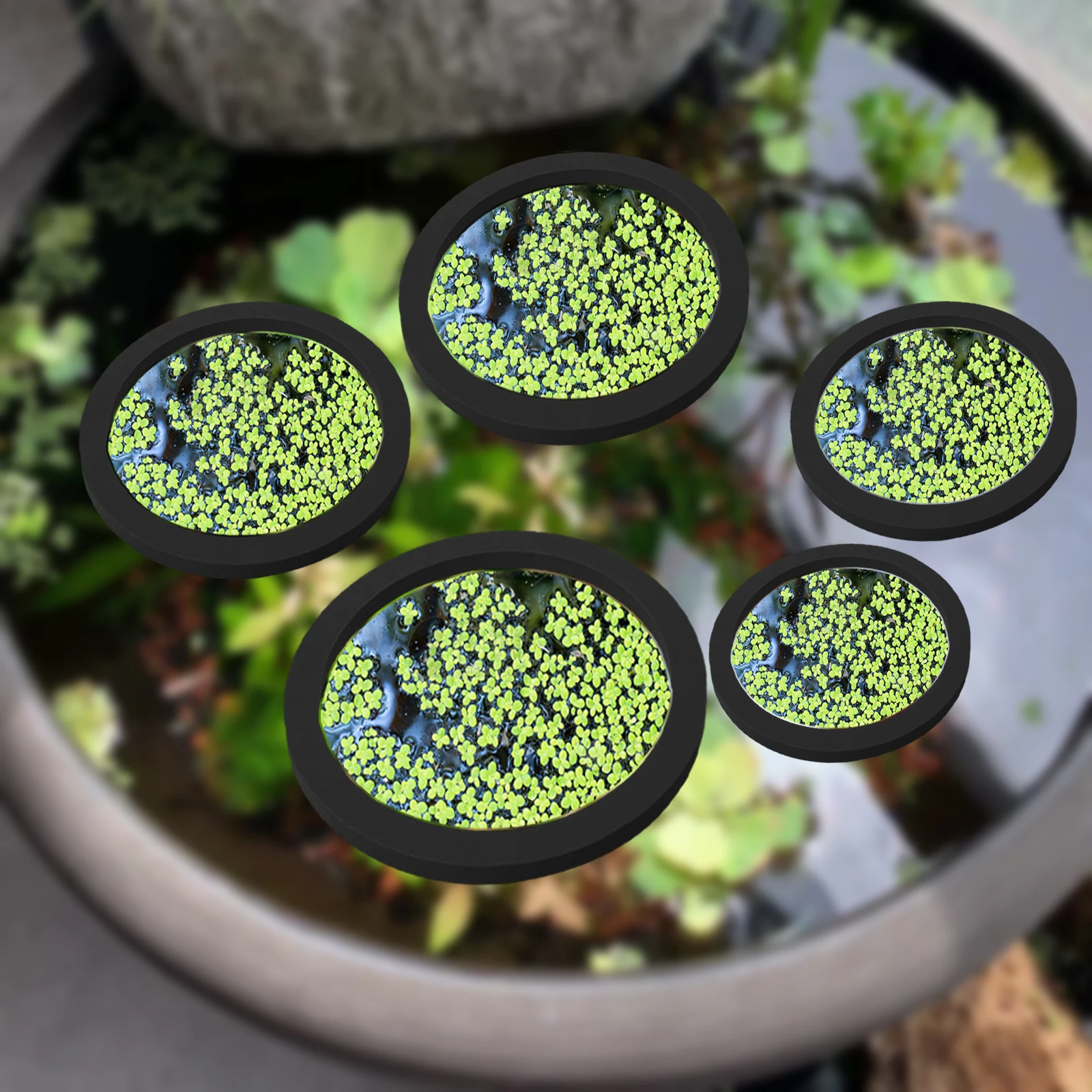 5Pcs EVA Fish Feeding Ring Aqu - Aquarium Fish In Pond incelemesi ve fiyatı