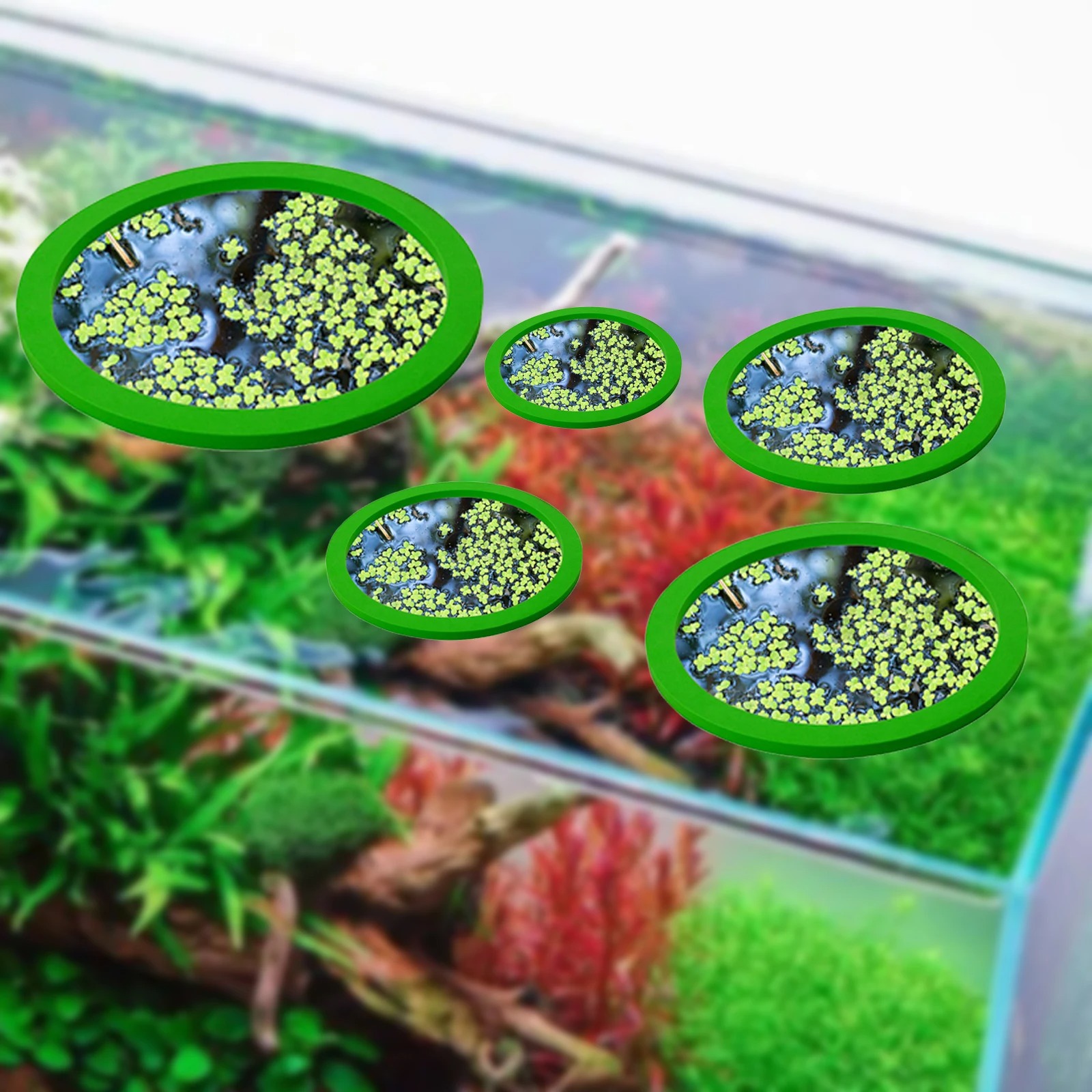 5Pcs EVA Fish Feeding Ring Aqu - Aquarium Fish In Pond incelemesi ve fiyatı
