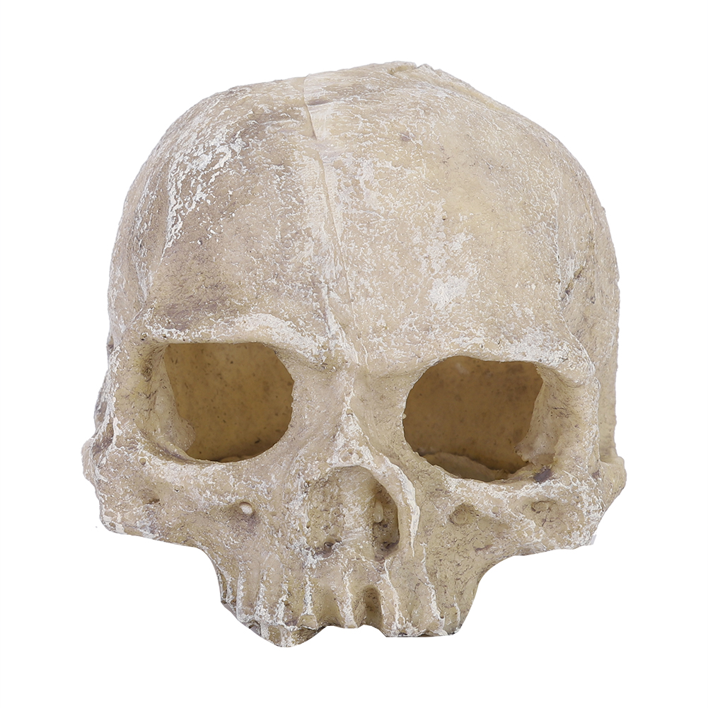 Resin Simulated Head Bone Skul - Aquarium Fish Hiding Places incelemesi ve fiyatı