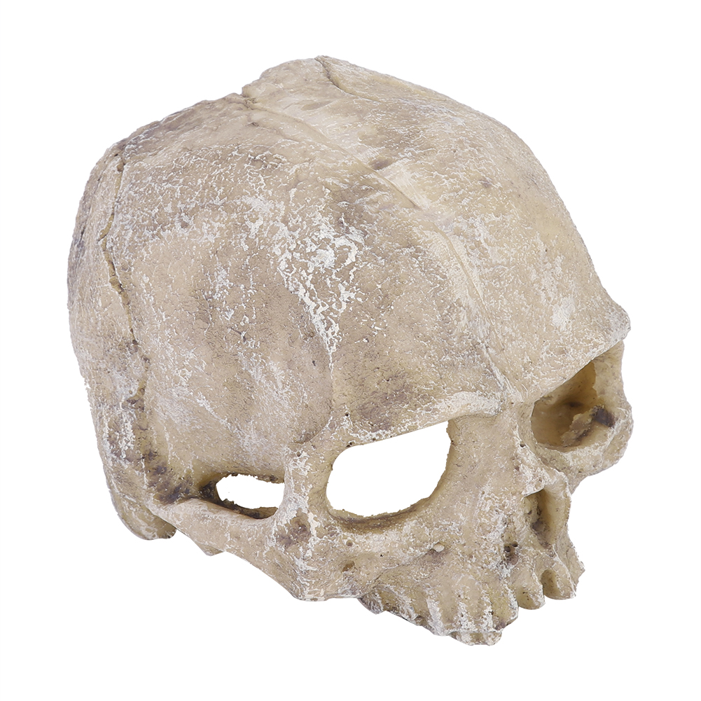 Resin Simulated Head Bone Skul - Aquarium Fish Hiding Places incelemesi ve fiyatı