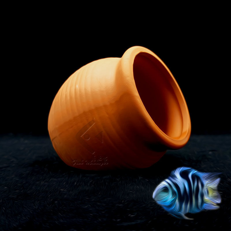 Aquarium Mini Ceramic Tank Fis - Aquarium Fish Hiding Places incelemesi ve fiyatı