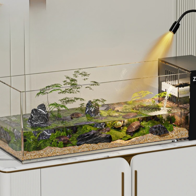 ‌Turtle Aquarium Tank - Fish & - Aquarium Fish Cold Water incelemesi ve fiyatı