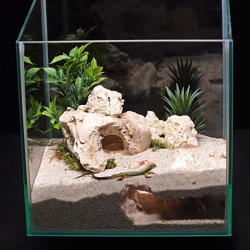 3DPrinted Fish Tank Tunnel She - Aquarium Fish Hiding Places incelemesi ve fiyatı