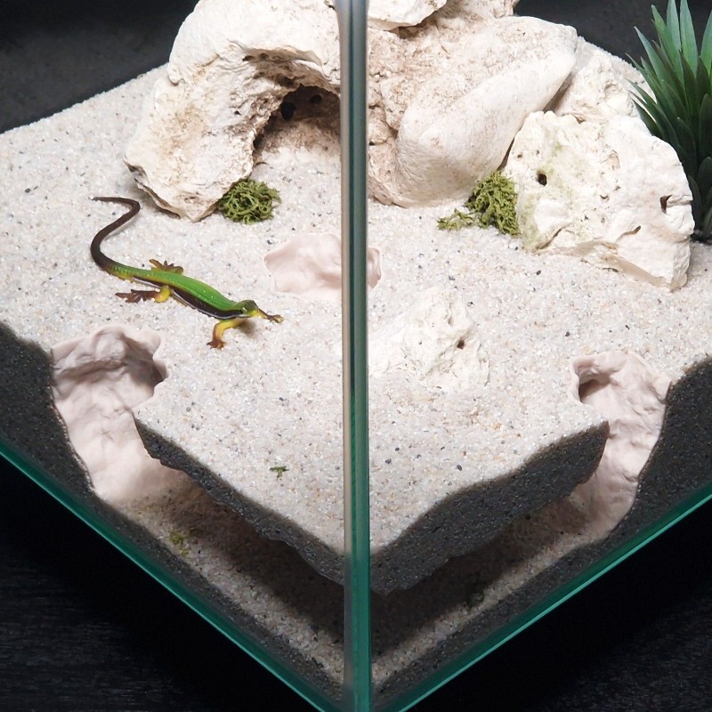 3DPrinted Fish Tank Tunnel She - Aquarium Fish Hiding Places incelemesi ve fiyatı