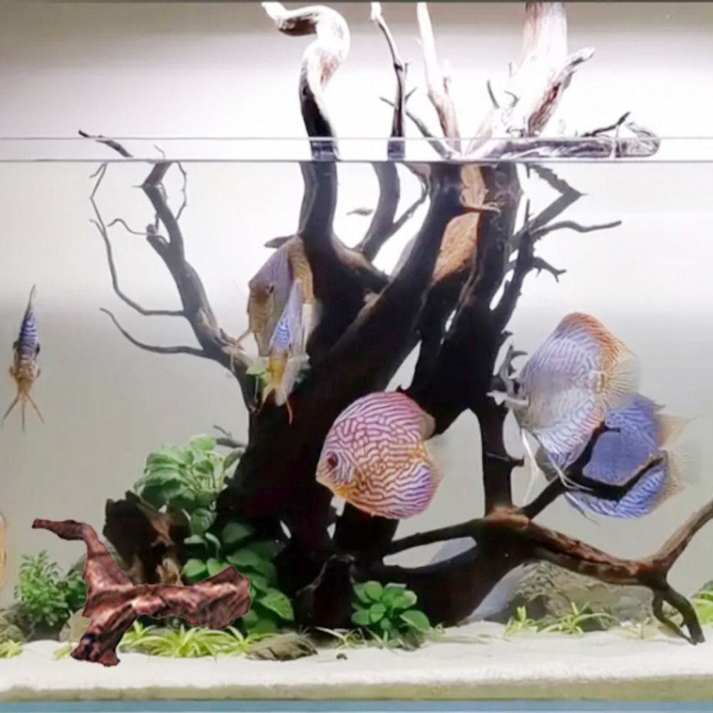 Creative Irregular Shape Coral - Aquarium Fish Hiding Places incelemesi ve fiyatı