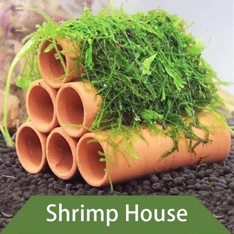 Clay Aquarium Decoration Fish  - Aquarium Fish Hiding Places incelemesi ve fiyatı