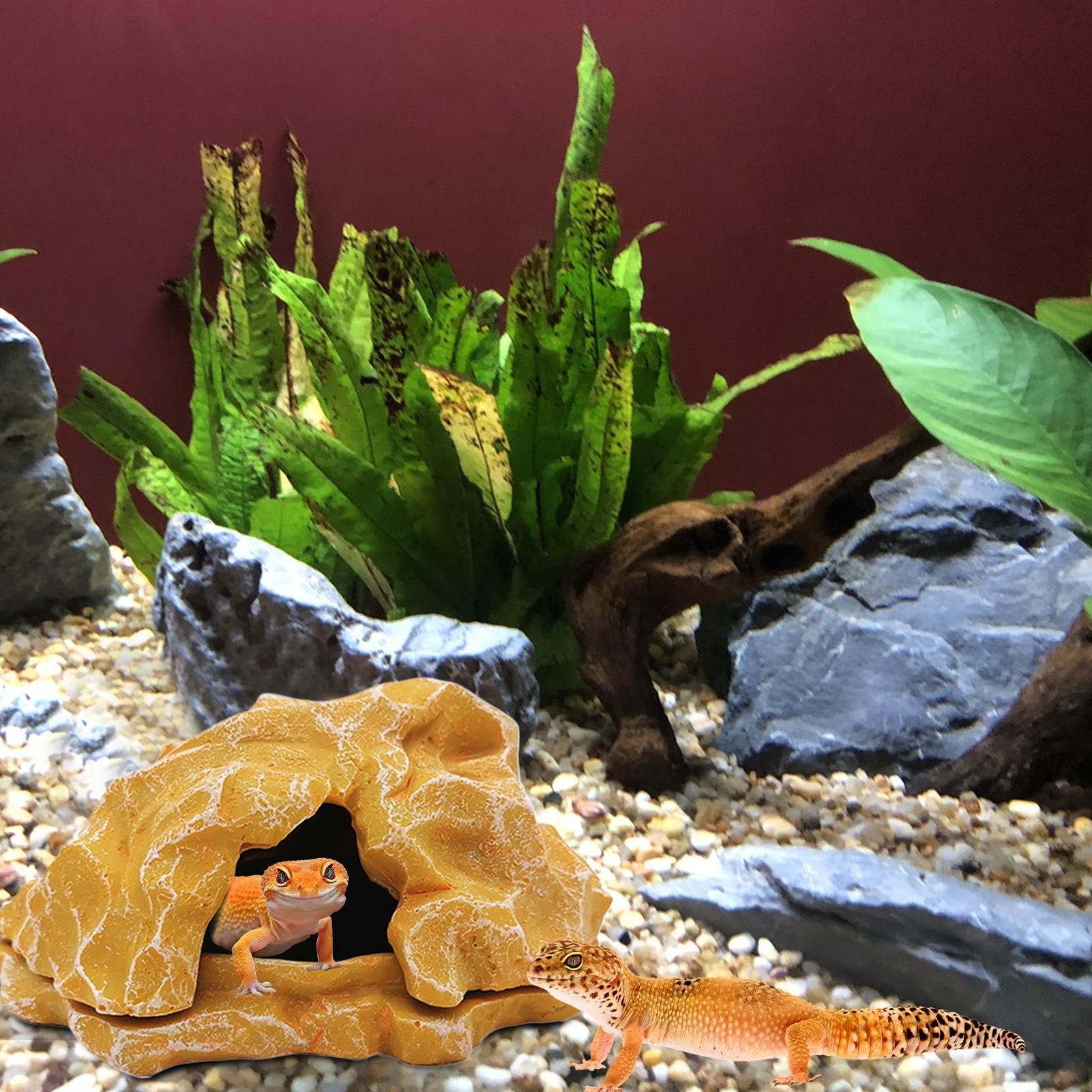 Lizard House Terrarium Resin F - Aquarium Decoration Rock incelemesi ve fiyatı