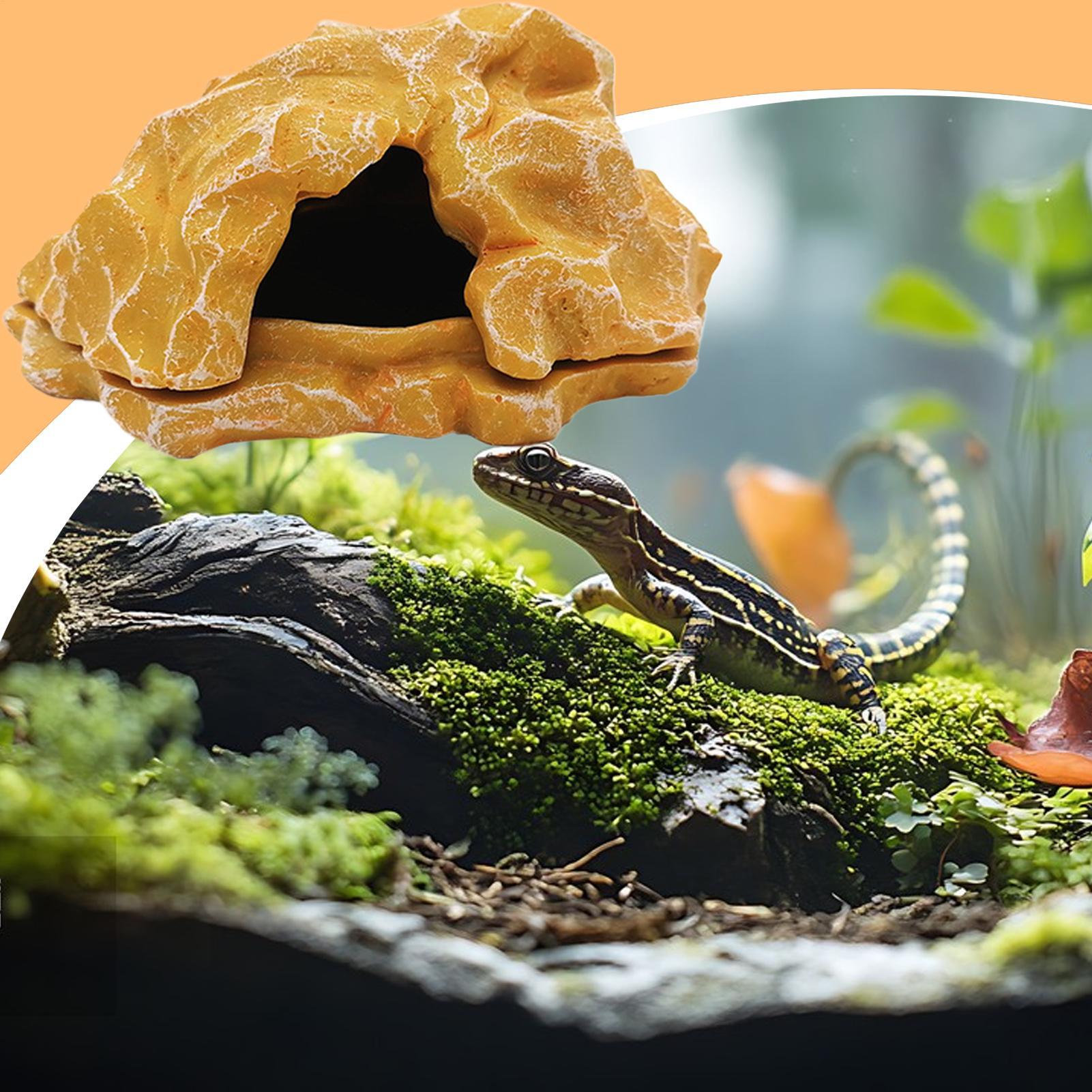 Lizard House Terrarium Resin F - Aquarium Decoration Rock incelemesi ve fiyatı
