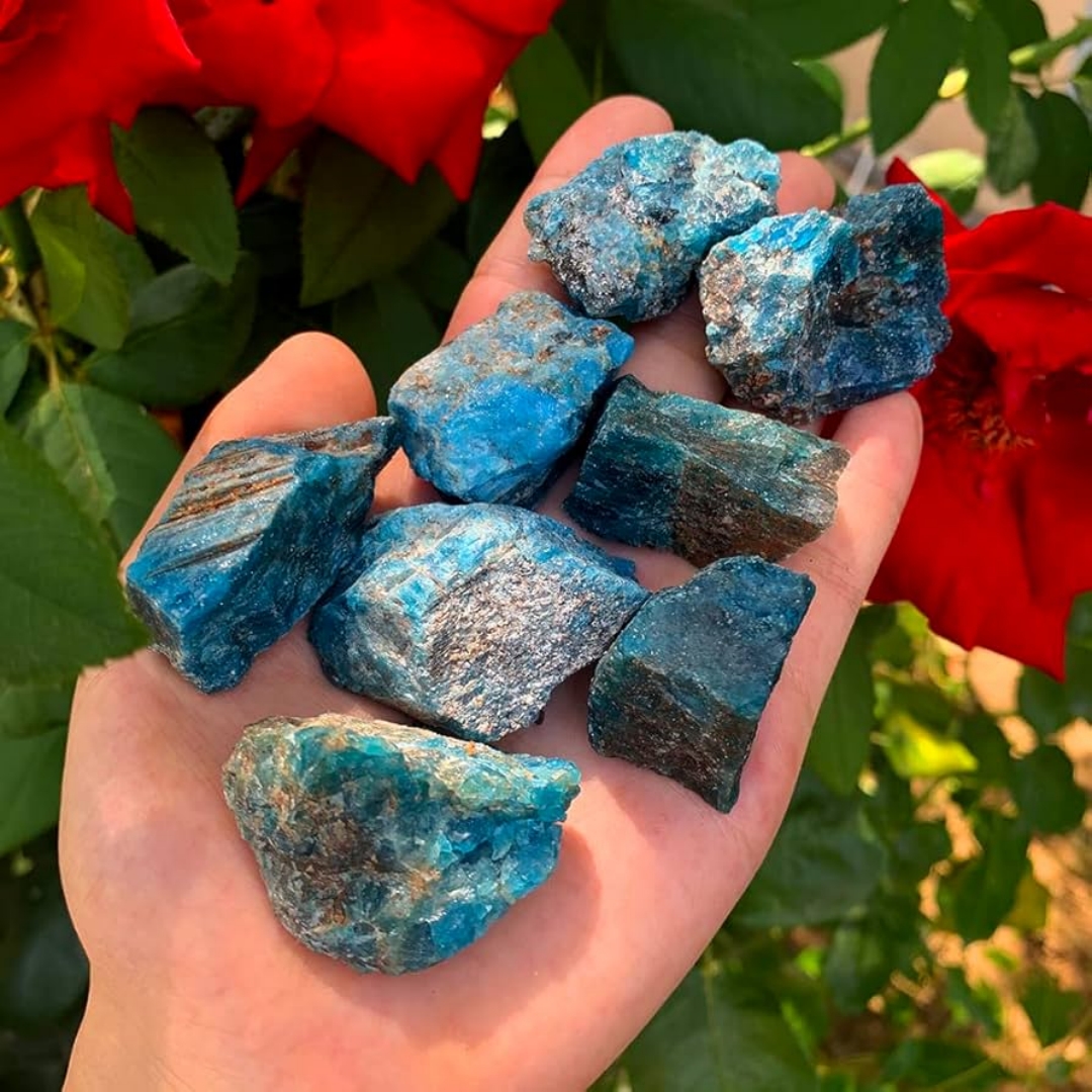 40g/120g/240g Natural Blue Apa - Aquarium Fish Names incelemesi ve fiyatı