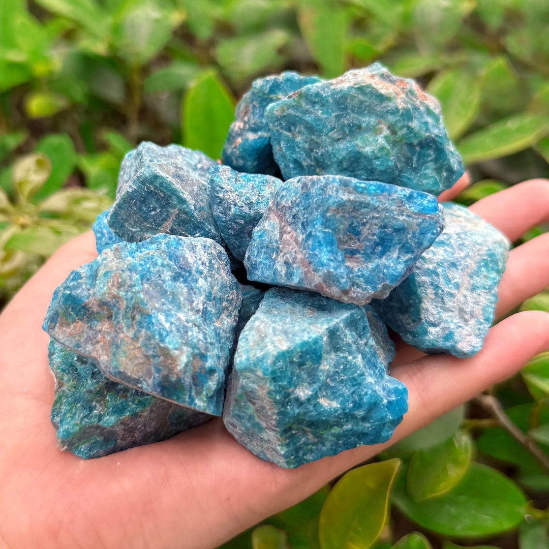 40g/120g/240g Natural Blue Apa - Aquarium Fish Names incelemesi ve fiyatı