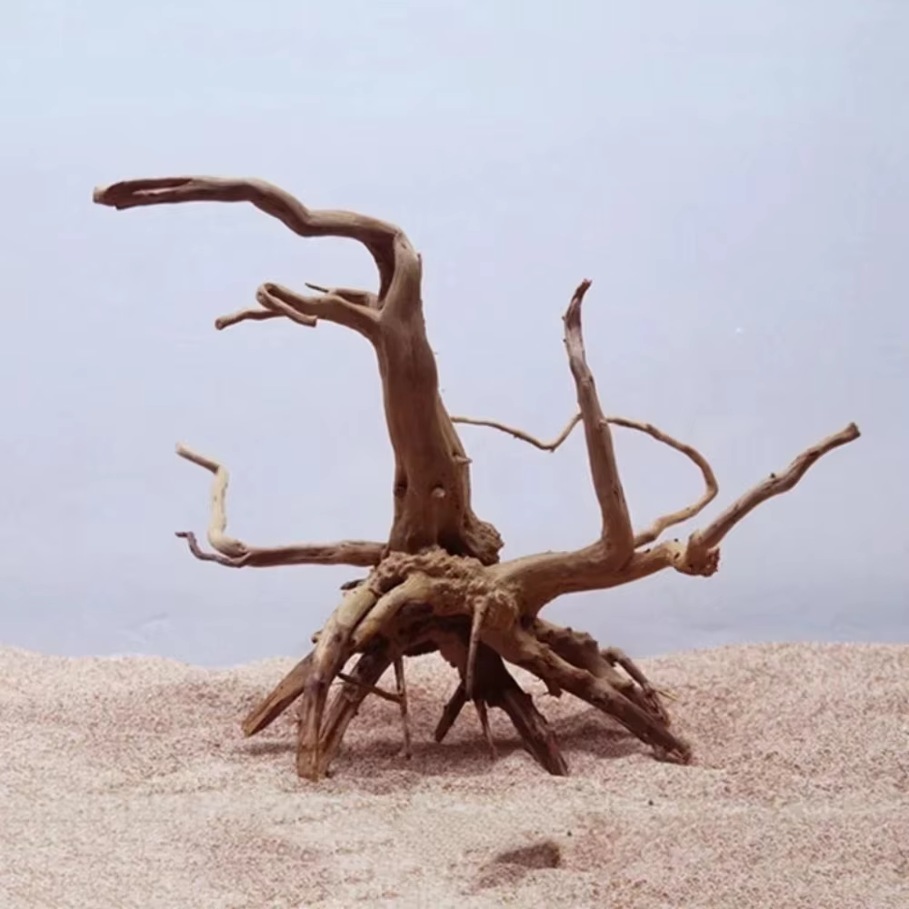 15-20CM Natural Driftwood Aqua - Aquarium Fish Fishing incelemesi ve fiyatı