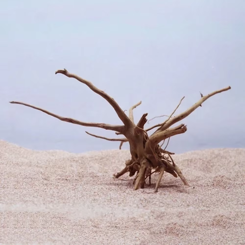 15-20CM Natural Driftwood Aqua - Aquarium Fish Fishing incelemesi ve fiyatı