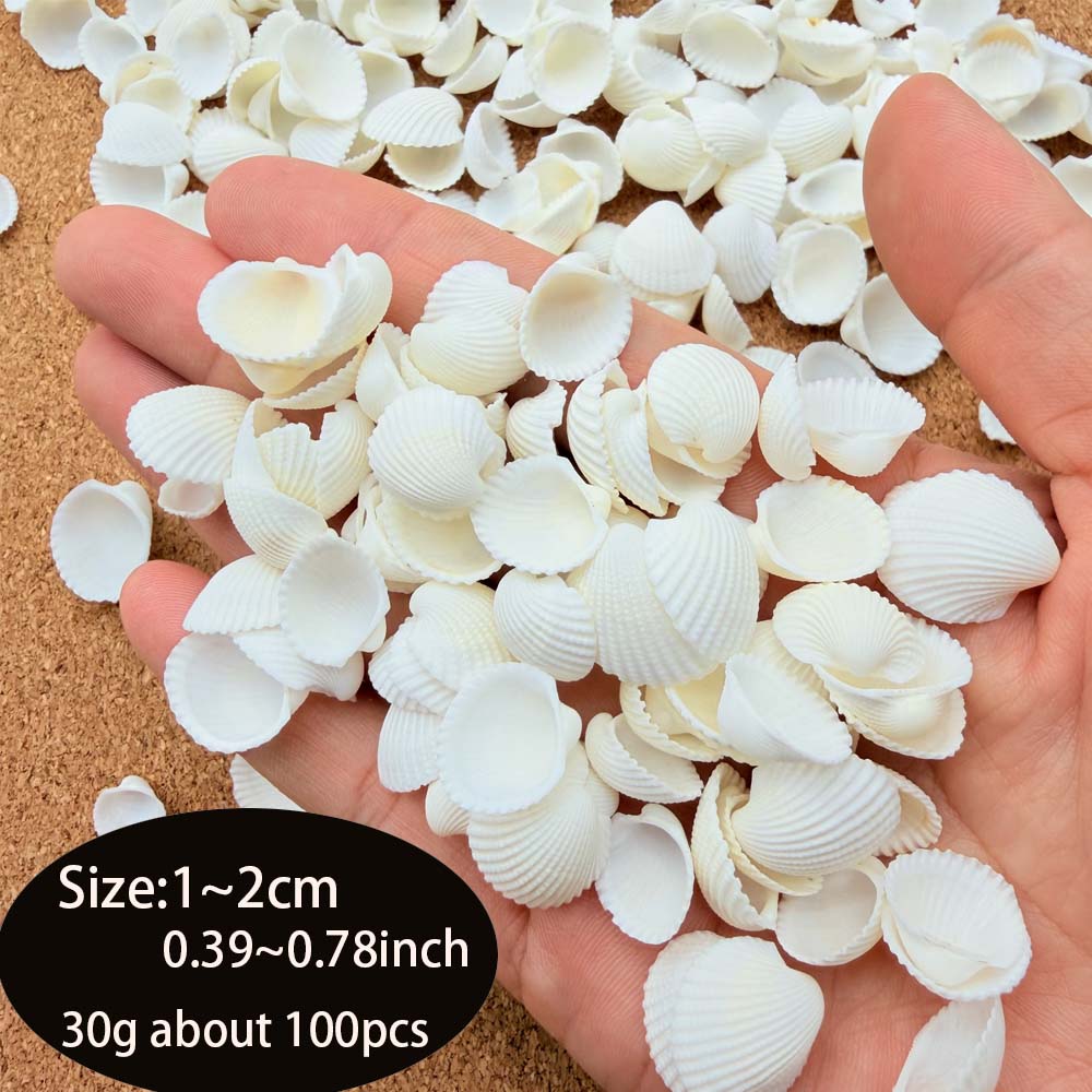 200pcs about 60g Tiny Sea Shel - Aquarium Fish Names incelemesi ve fiyatı