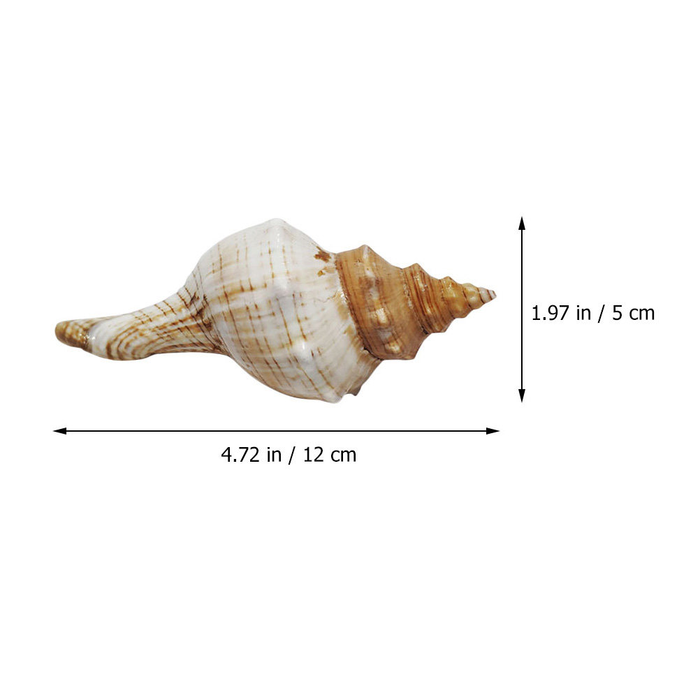 Decorative Conch Shell for Aqu - Aquarium Fish Names incelemesi ve fiyatı