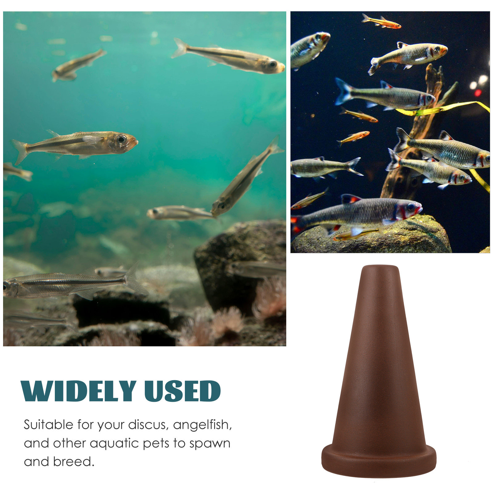 Fish Breeding Cone Cave Purple - Aquarium Fish Discus incelemesi ve fiyatı