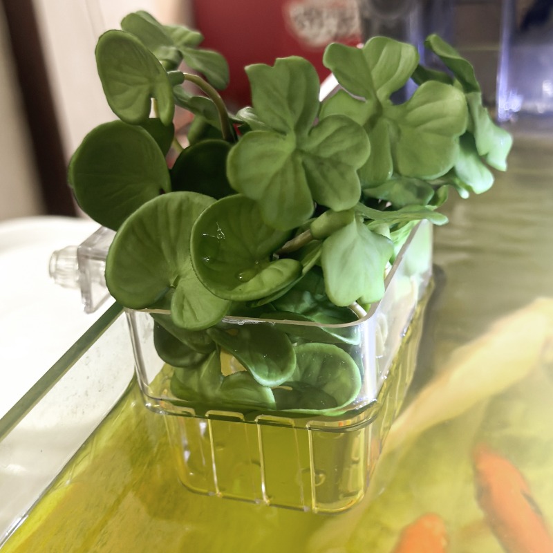 1/5pcs Aquarium Decoration Pla - Aquarium Fish Fishing incelemesi ve fiyatı