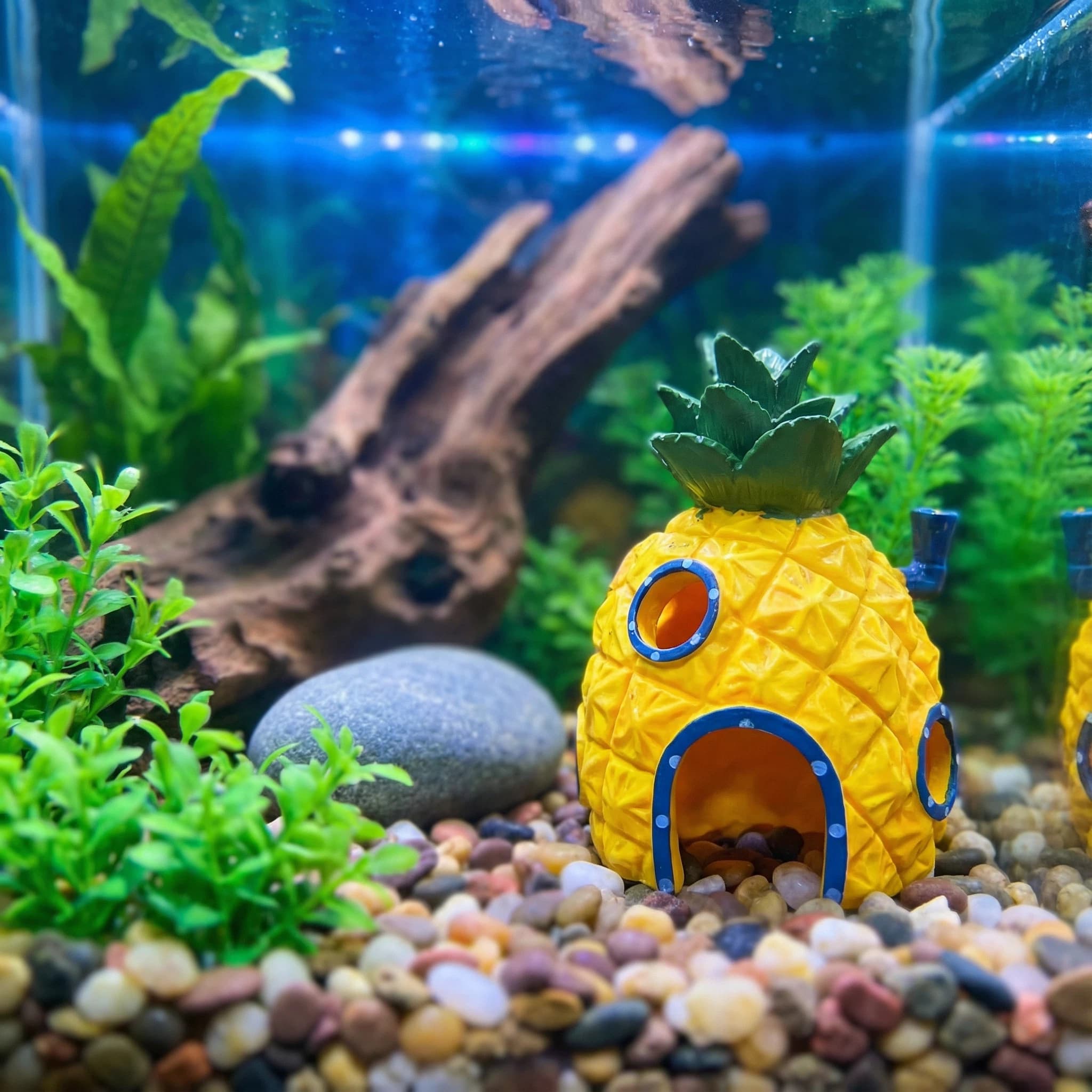 Pineapple House Aquarium Decor - Aquarium Fish Hiding Places incelemesi ve fiyatı
