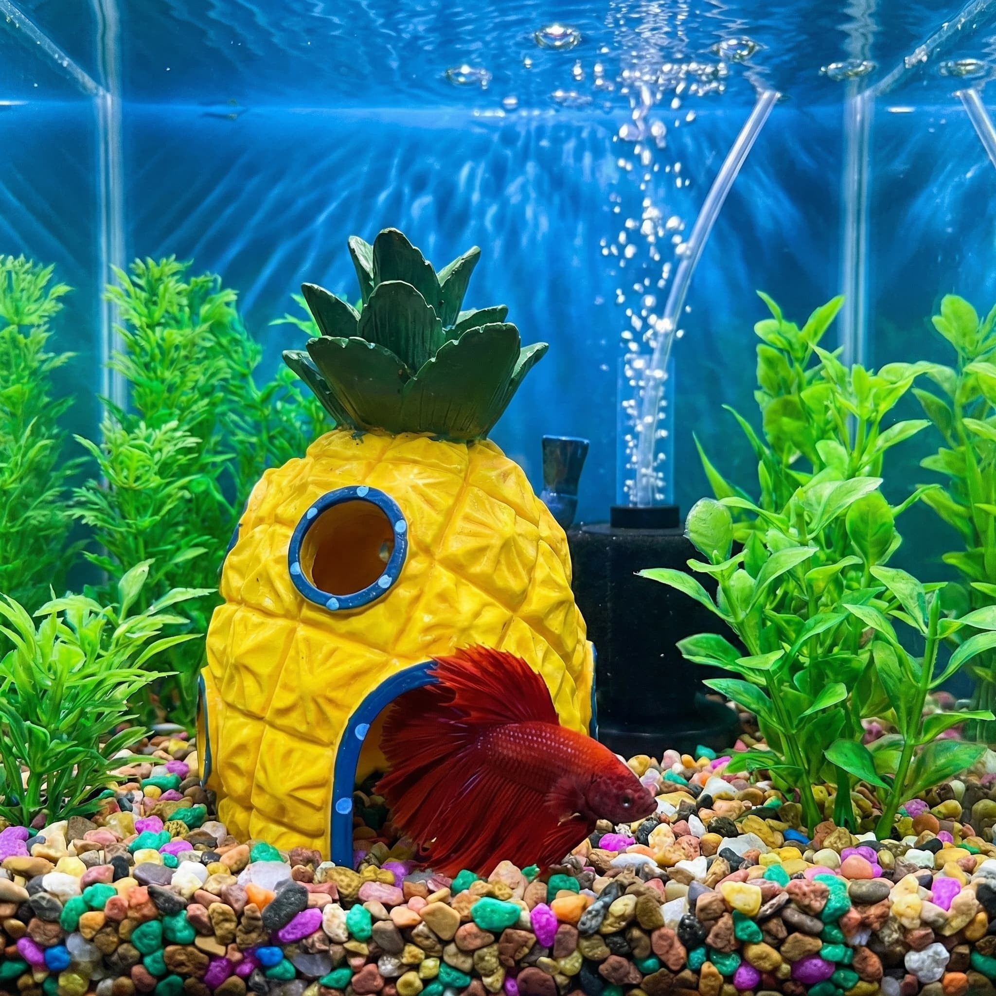 Pineapple House Aquarium Decor - Aquarium Fish Hiding Places incelemesi ve fiyatı