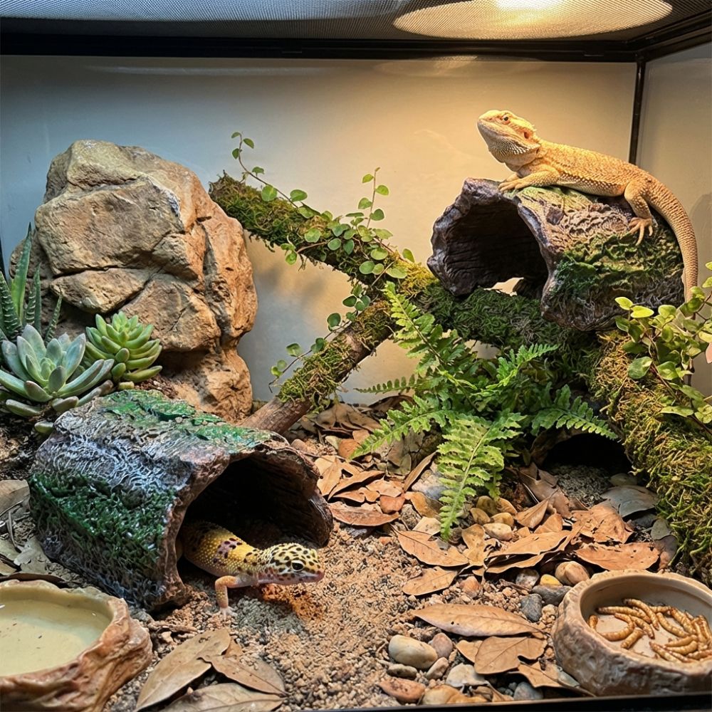 Simulation Reptile Hideout Hol - Aquarium Fish Hiding Places incelemesi ve fiyatı