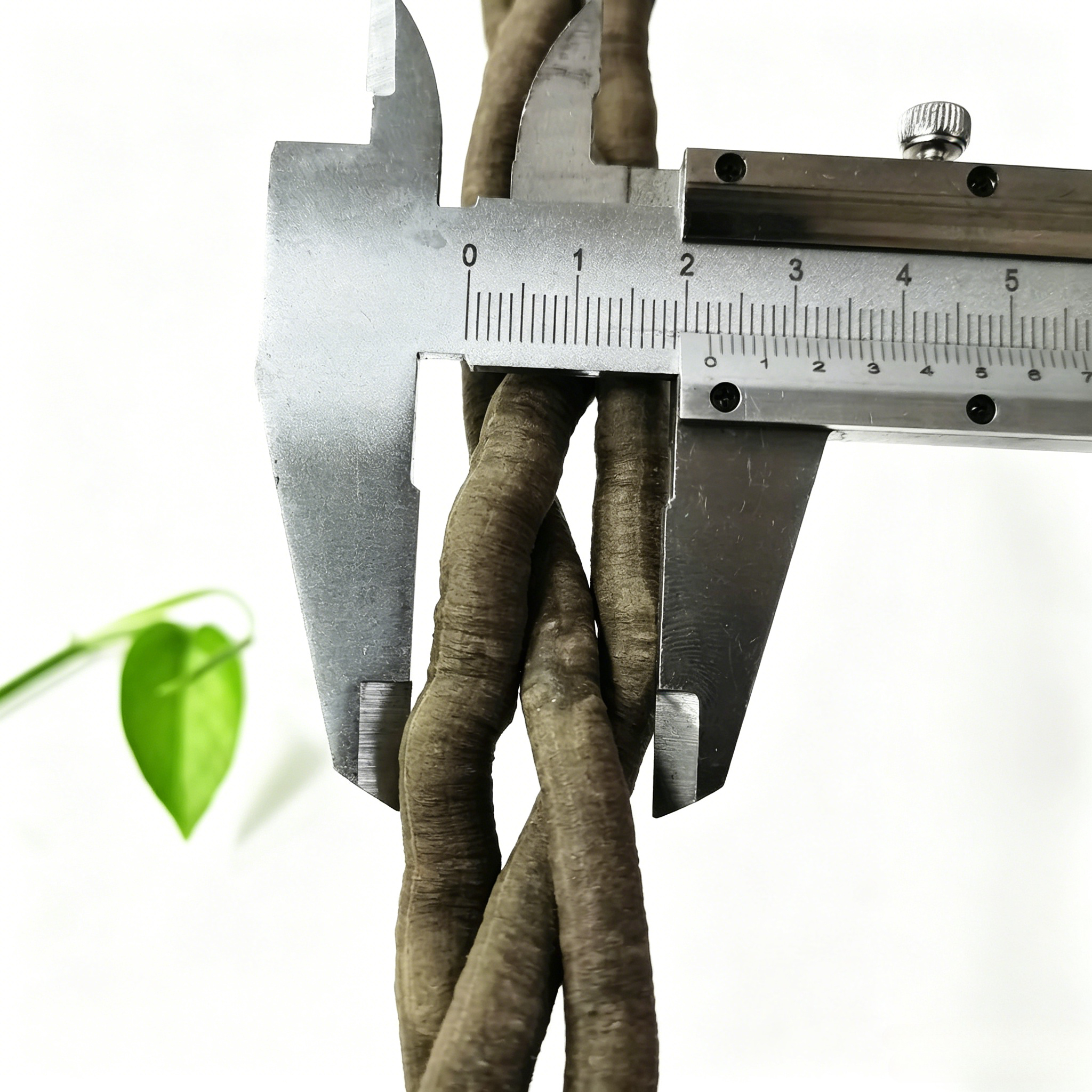 100cm Artificial Vine Plant Cl - Aquarium Fish Fishing incelemesi ve fiyatı