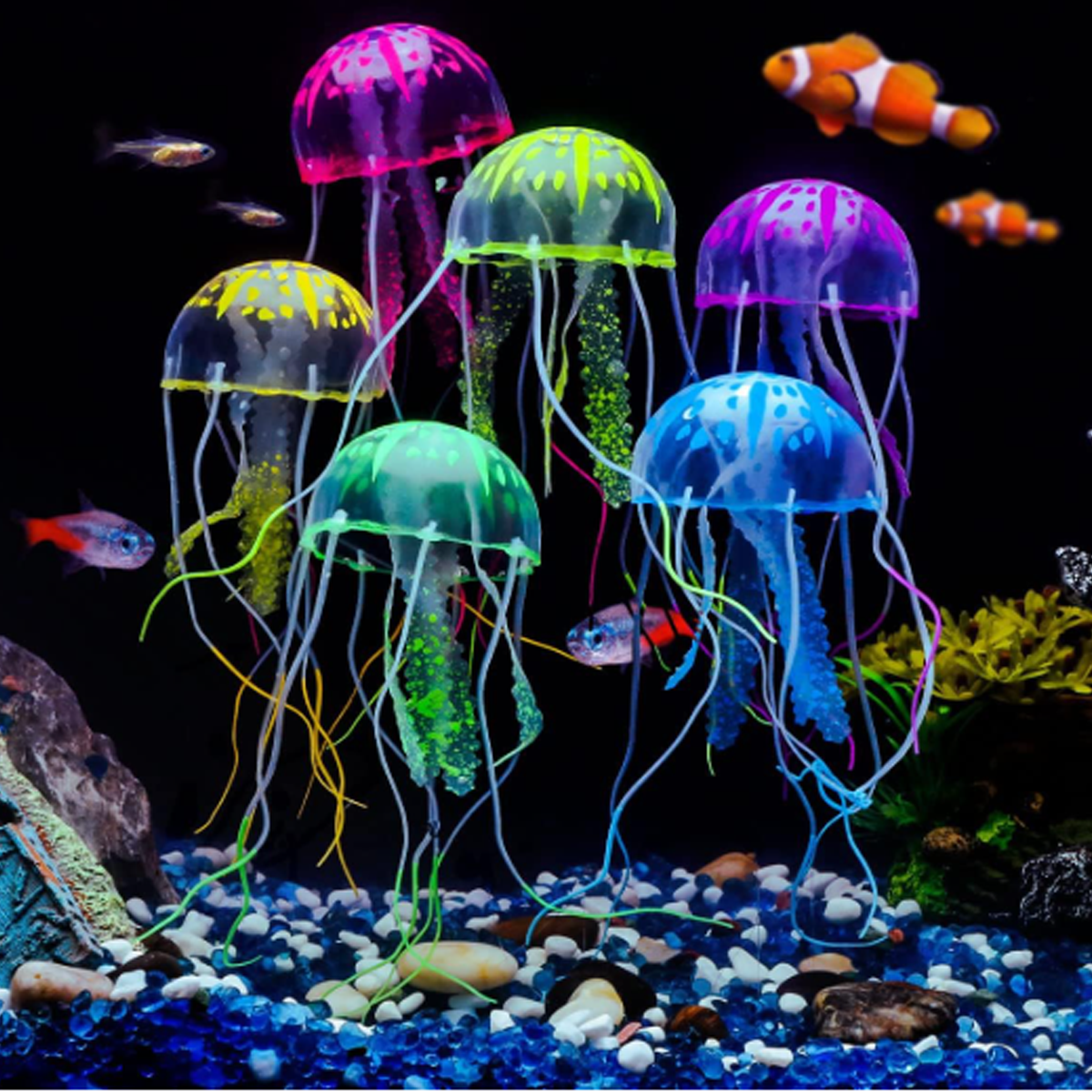 3 Pcs Glowing Jellyfish Fish T - Aquarium Fish Discus incelemesi ve fiyatı