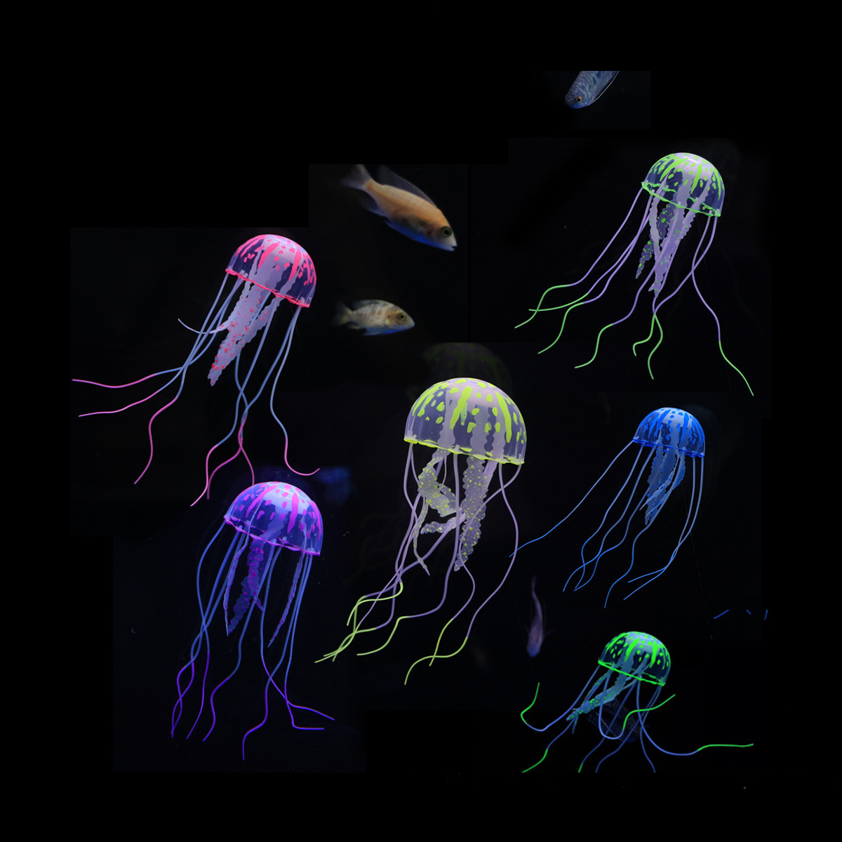 1 Pc Coral Moon Jellyfish Aqua - Aquarium Fish Discus incelemesi ve fiyatı